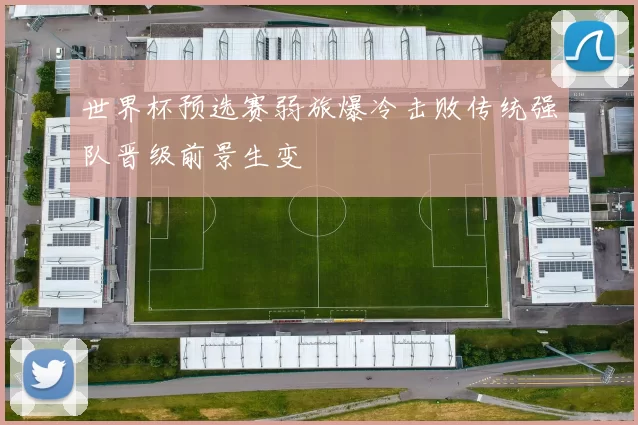 世界杯预选赛弱旅爆冷击败传统强队晋级前景生变